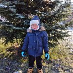 phoca_thumb_m_1 1 Fotogalerie